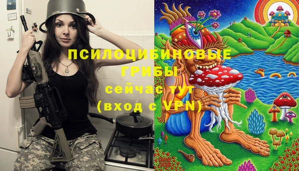 mix Надым